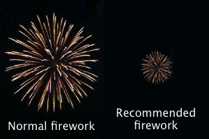 portfolio fireworks