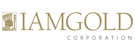 Iamgold Corporation Ordinary Shares covered calls