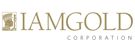 Iamgold Corporation Ordinary Shares dividend