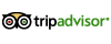 TripAdvisor, Inc. dividend